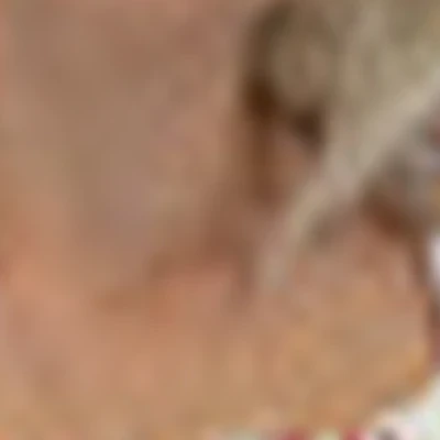 Надежда Черникова