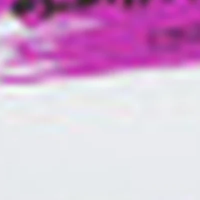 ELENA KASHAPOVA Lash&Brow