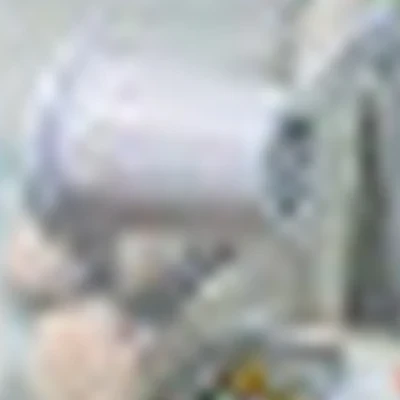 Анастасия Гуджаева