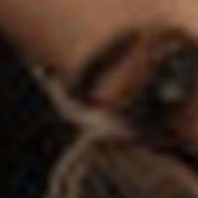 Black Edition Studio