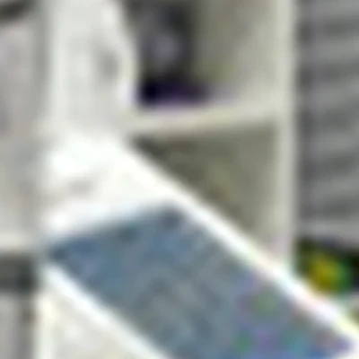 Палагицкая Вероника Юрьевна