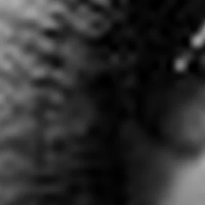 Мария Анкудинова