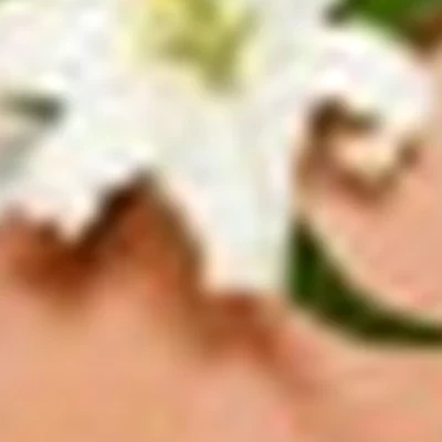 Wellness-студия "Bliss body"