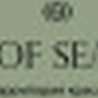 OUT OF SEASONS Территория красоты