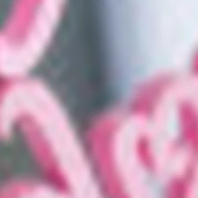 ProfiStudio Светланы Хафизовой