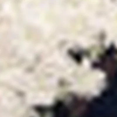 Шергина Екатерина