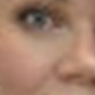 ИП Гладких Елена Николаевна (LapukhinA STUDIO)