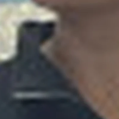 Анастасия Кепчикова