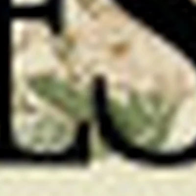 E | S