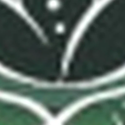 Студия массажа Тимура Доржиева