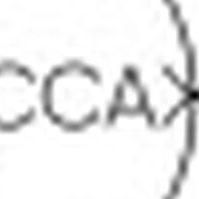 Массажная №1