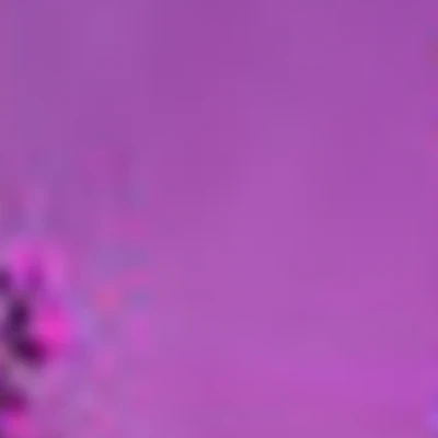 Студия красоты “Lacome”