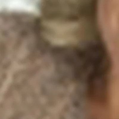 Анна Переходцева