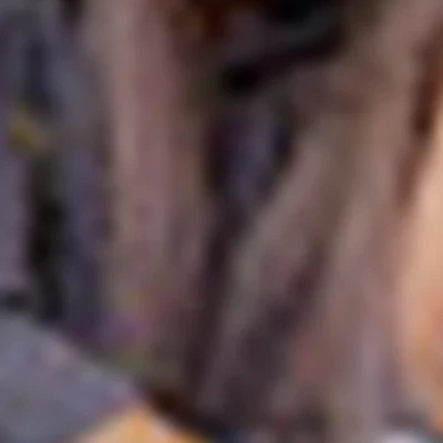 Наумчук Дарья