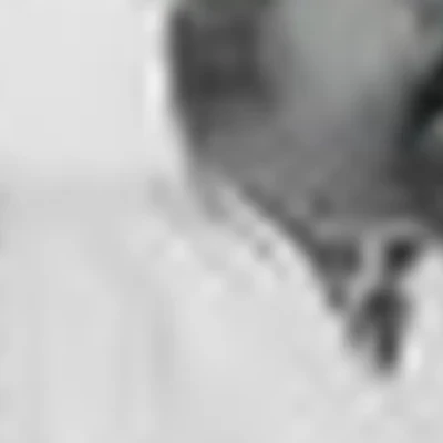 Елена Лагутина