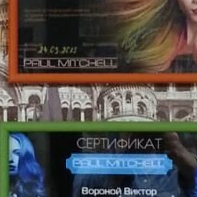 Виктора Вороного