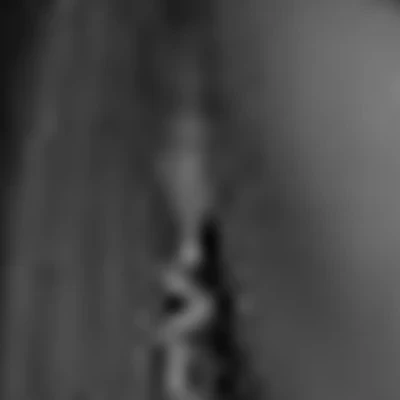 Барбер Екатерина