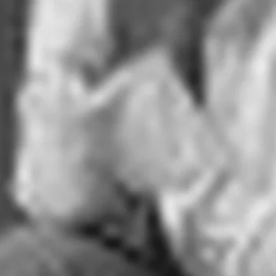 Кристина Носенко