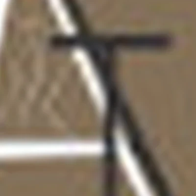 Академия тела