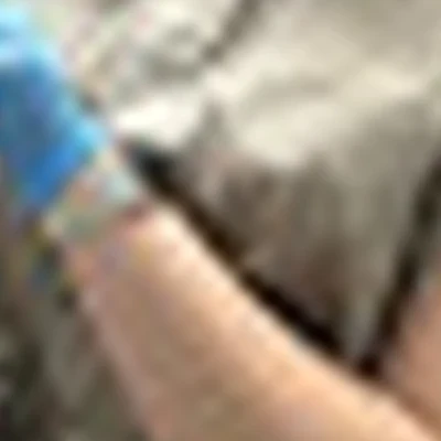 Вероника Яковлева