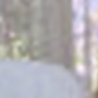 Студия лазерной эпиляции " lite"