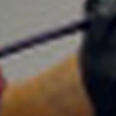 Дарья Карпова