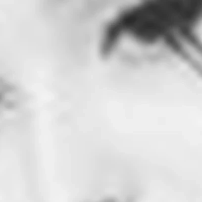 София Шатова