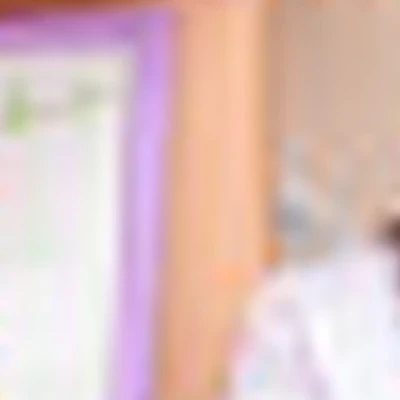 Студия Лаванда