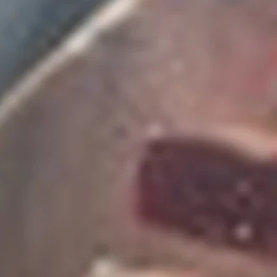 Ногтевой Сервис “Ari Nail”