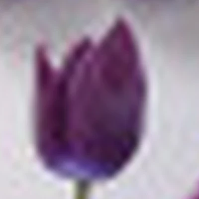 Студия Красоты Crocus