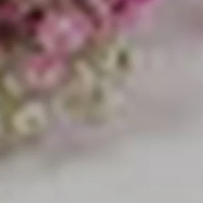 Дом. Красота. Здоровье