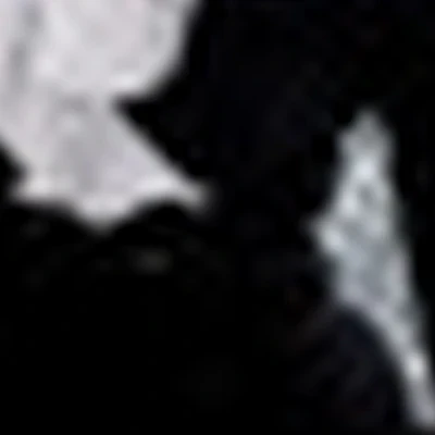 Николаева Татьяна