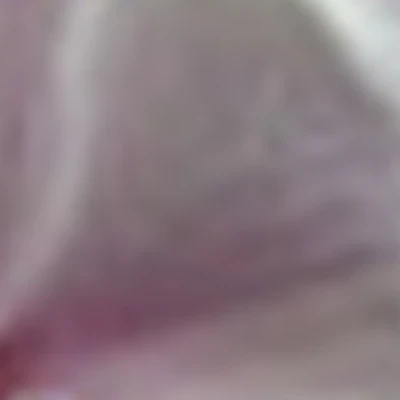 Орхидея