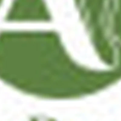 Алина Домченко