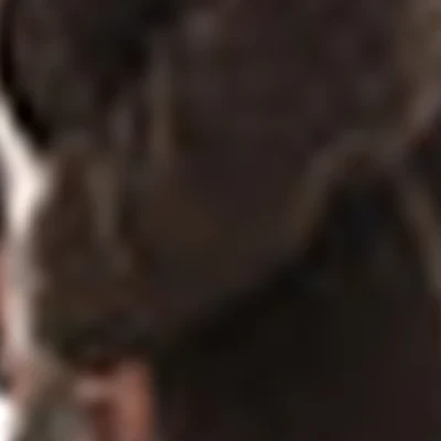 ANASTASIA SAMOILOVA (brows&shcool)