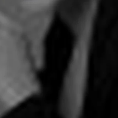 Анна Конева