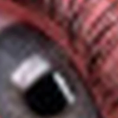 Юлия Арабская