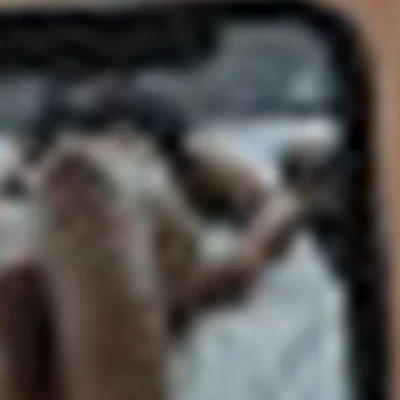 Miloslavskaya_studio