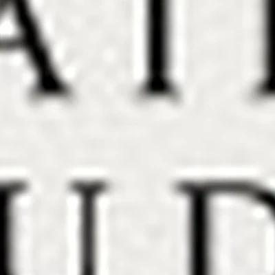 Al nails studio