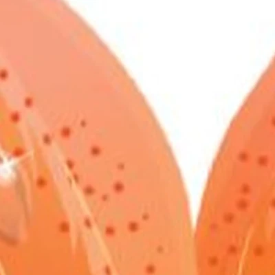 Спа Звенигород