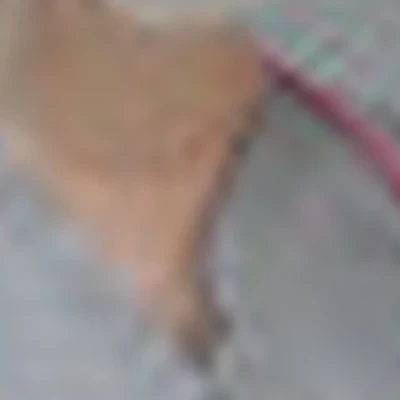 Елена Дятлова