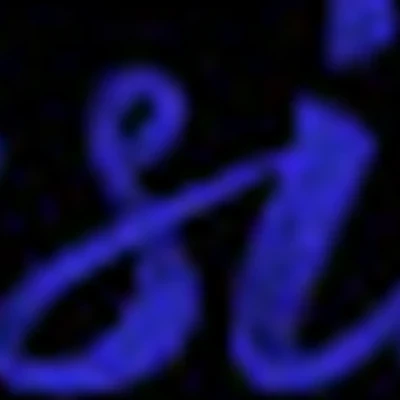 BUSINA
