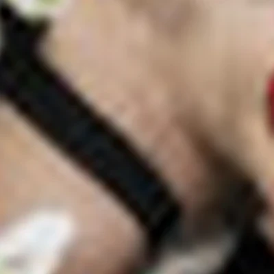 Верещагина Елена