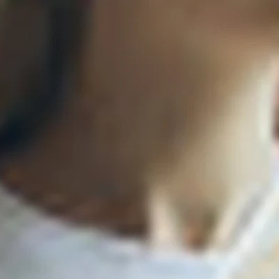 Юлия Черных