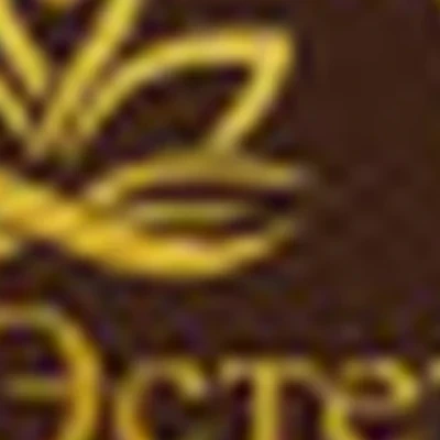 Эстетика СПА