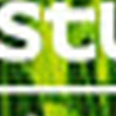 LVS Лучшая версия себя