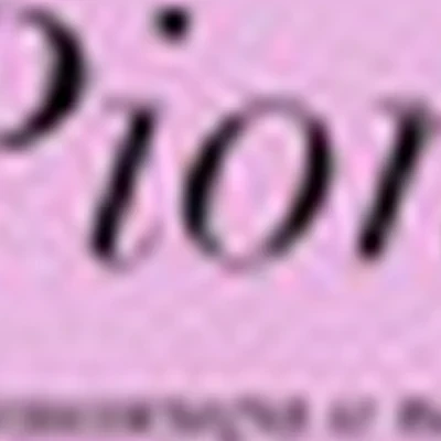 Pion