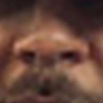 Юрий