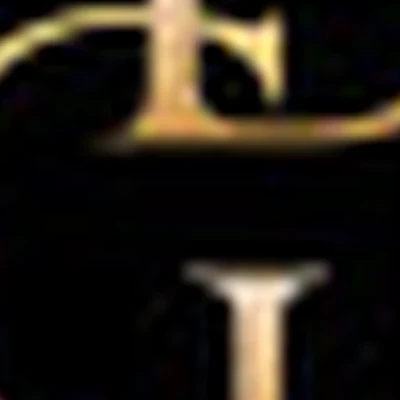 DianaGor studio