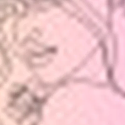 Катерина Лемасова